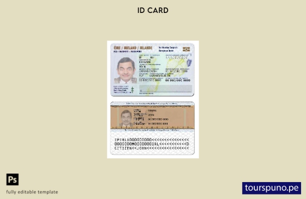 Plantilla de identificación de Irlanda lista para imprimir